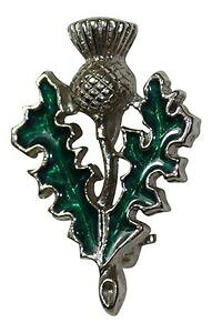 yzANZT[@lbNX^[RCYgRVXXRbghA[gs[^[u[`XRbghart pewter escocs cardo turquesa broche regalo escocia