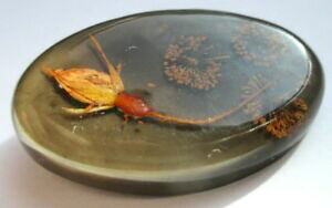 �y���������z�A�N�Z�T���[�@�l�b�N���X�u���[�`���B���e�[�Wancienne broche simple came beau bijou vintage fleurs sches sous rsine 5101