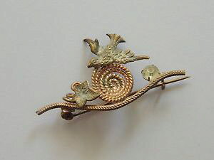 yzANZT[@lbNX@A[k[{[uhEjolie broche ancienne art nouveau dcor doiseau et feuille de vigne bijoux