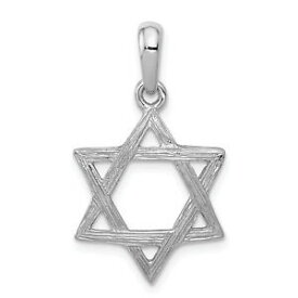 【送料無料】ネックレス　14kホワイトゴールドダビデペンダントk129314k white gold star of david pendant k1293