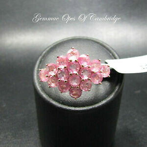 yzlbNX@kS[hS[hsNTt@CANX^OTCYTCY large 9k gold 9ct gold pink sapphire cluster ring size n us size 6 34 268g