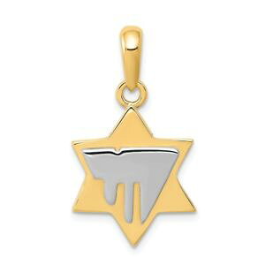 �y���������z�l�b�N���X�@�\���b�h�S�[���h�T�e���f�r�b�h�y���_���g14k twotone gold solid satin polished casted chai on star of david pendant