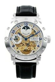 【送料無料】　腕時計　スケルトンステンレススチールサファイアautomatic watch skeleton stainless steel sapphire genuine leather 5atm ts50051