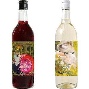 y\̔z Č J 2026N Cg 2{Zbg 2W001NN