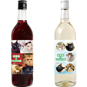 �y�\��̔��z �ی�L��TOSAN��ch 2026�N �g�����C�� 2�{�Z�b�g 720ml 2W005NN