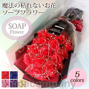 �t�����[ �T�v���C�Y ���[�Y �M�t�g �\�[�v�t�����[ �Ό��� ���C�g �ԑ� ���� �{�b�N�X�t�����[ �u�[�P �v���[���g 21�� LED