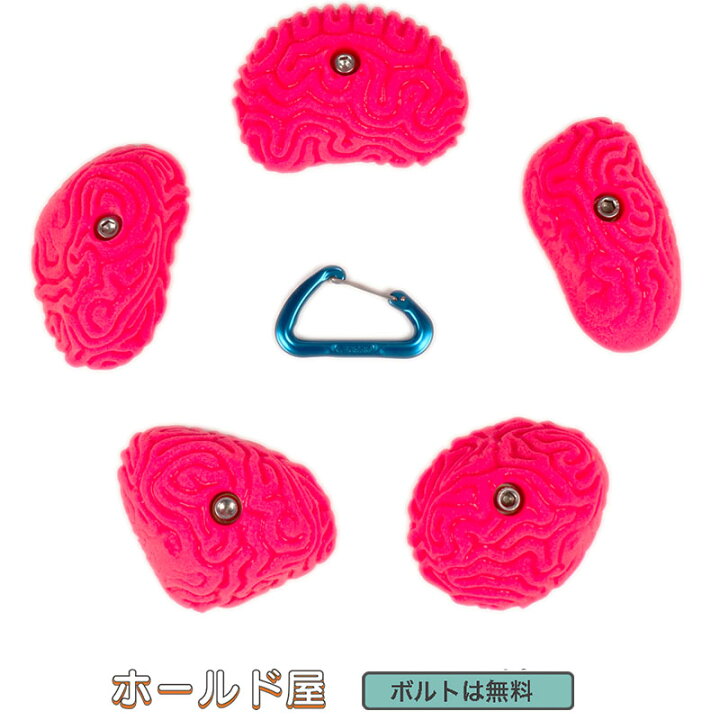 5 ラージ ベーシック ピンチ Set 1 Screw On クライミングホールド 最大92 オフ