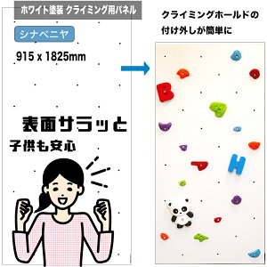 y Vixj zzCgh NC~OEH[ppl 15mmi915 x 1825mm / ܕtibgj - lpNC~OǁiBolt ^Cvjys//DIY/{_Opl/vC