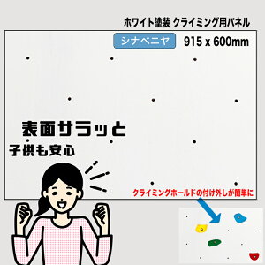 y Vixj zzCgh NC~OEH[ppl 15mmi915 x 600mm / ܕtibgj - lpNC~OǁiBolt ^Cvjys//DIY/{_Opl/vCx