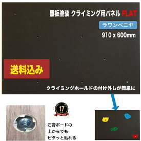 【ラワンベニヤ 18mm厚】黒板塗装済みクライミングウォール用パネル FLAT（910 x 600mm、ラワンベニア 、Boltタイプ） 【パネルの裏側に金具の出っ張りを無くしたタイプ／代引き不可/合板/DIY/ボルダリングパネル/クライミング壁/キッズルーム/子供部屋ボード/木板】