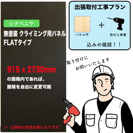 【取付工事費込みプラン】シナベニヤ ： 黒板塗装 クライミングウォール用パネル （ 915 x 2730mm内、FLATタイプ ）：壁に貼り付ければ、クライミングホールドをつけ外し可能なクライミング壁を作成させていただきます。施工費込みのお得なプラン。出張費は別途お見積り