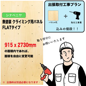 �y��t�H����݃v�����z�V�i�x�j�� �F ���h�� �N���C�~���O�E�H�[���p�p�l�� �i 915 x 2730mm���AFLAT�^�C�v �j�F�ǂɓ\��t����΁A�N���C�~���O�z�[���h�����O���\�ȃN���C�~���O�ǂ�