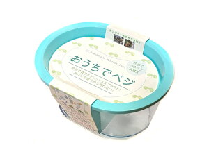 B201 おうちでベジ (種なし) ターコイズブルー 4560496708508