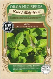 A512 oWiz[[oWjgDV[ S_ 4560496705354