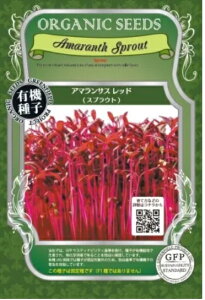 A514 A}TXiXvEgj_4560496705378