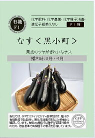 A596 なす (黒小町) [果菜のタネ] 有機種子・F1種 4560496706177