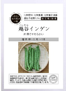 A600 zJCQ L@qEŒ -4560496706214 [EāEނ̃^l]