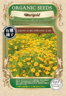 A662 レモンマリーゴールド (シグネットマリーゴールド) [ハーブのタネ] 有機種子 固定種 4560496706917
