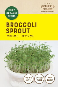 A672 ICbXpL@q (ubR[XvEg) [XvEg̃^l] L@qEŒ 4560496708010