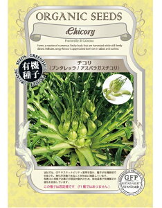 A698 `Riv^b/AXpKX`Rj[t؂̃^l] L@qEŒ 4560496708270