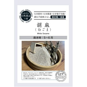 A701 Ӗi܁j[EāEނ̃^l] L@qEŒ 4560496700274