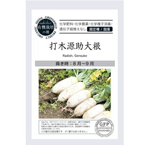 A710 卪 (Ŗ،卪) [؂̃^l] L@qEŒ 4560496702124