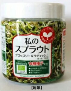 B006 ̃XvEg ubR[&fBbV͔|Zbg 4560496709932