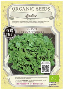 �G���_�C�u�i�L�t�G���_�C�u�^�񌋋��^�j�@A011_����_0.4g_4560496700113�@�L�@��q�E�t�؁E�Œ��iA125_ ���_1dl_4560496701295�j�O���[���t�B�[���h�v���W�F�N�g