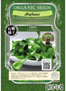 A274 Ђ܂iXvEgj_ 4560496702711