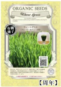 A281 EB[gOXiX[W[&W[Xpj_4560496702773 _4560496702872