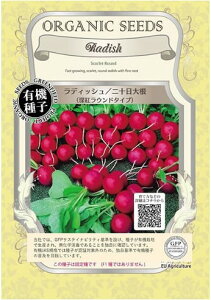A023 fBbVi\卪j[gEh^Cv _4560496700267 _4560496701486