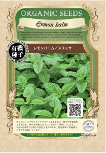 A158 �������o�[���i�����b�T�j��� 4560496701592