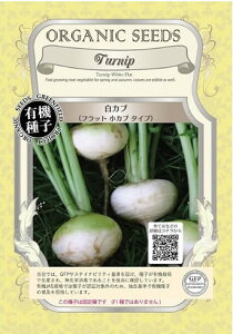 A028 JuitbgJu^Cvj_4560496700335 _4560496701578