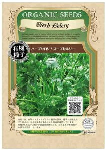 A140 n[uZiX[vZ[j_4560496701448