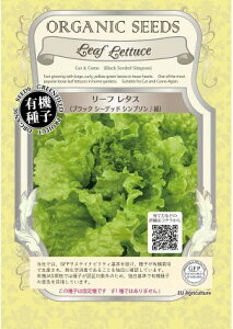 A322 [t^XiubNV[fbhVv\ ΁j _4560496703107