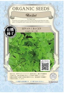 A065 PbgibRjxr[[t _4560496700793 _4560496701332