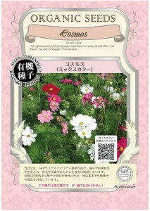 A071 RXXi~bNXJ[jS_ 4560496700854