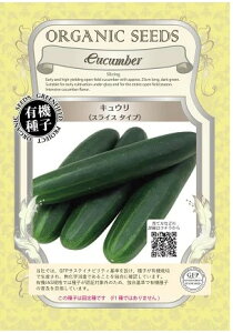 A081 LEiXCX^Cvj@_4560496700984 _4560496702025