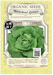 A121 T_؁i[t^Xjo^[wbh^X _4560496701257