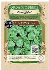 R[T_^}[V@A537__1L_4560496705583@L@qEn[uEŒiA008__0.6g_4560496700083jO[tB[hvWFNg