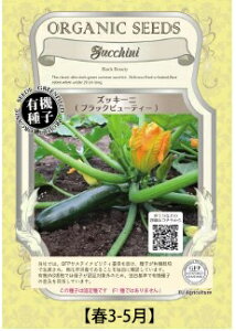 A293 YbL[jiubNr[eB[j_4560496702377 _4560496702414