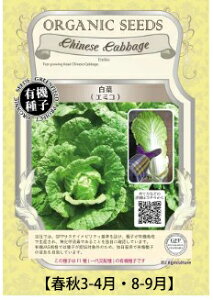 A452 ؁iG~Rj_4560496704722