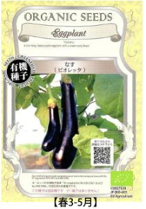 A246 ȂirIb^jS_ 4560496702483