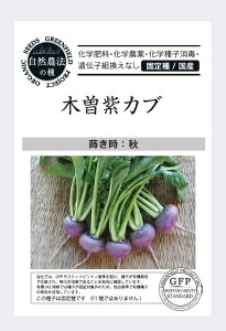 A665 ؑ]Ju 4560496706948