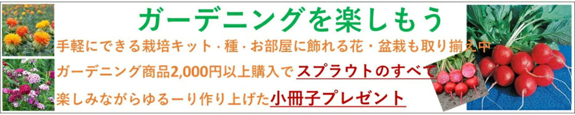 ガーデニングを楽しもう