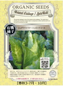 A525 LxciƂ񂪂LxcjVsbcR[ _4560496705460