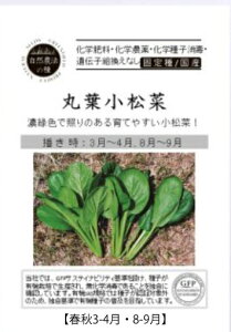 A488 ۗt S_ 4560496705156