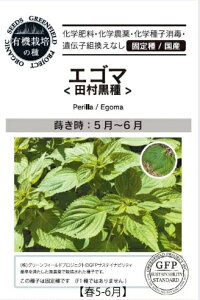 A502 GS}icjS_ 4560496705255