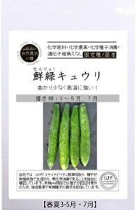 A504 LEiN΃LEjS_ 4560496705279