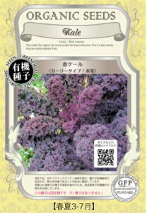 A530 ԃP[iJ[[^Cvjԗt S_ 4560496705514